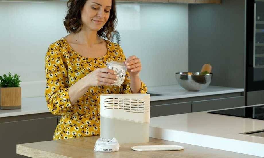 Bostik DIY South Africa ideas inspiration how to use dehumidifier teaser