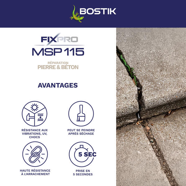 Bostik DIY France MSP 115 product image 3